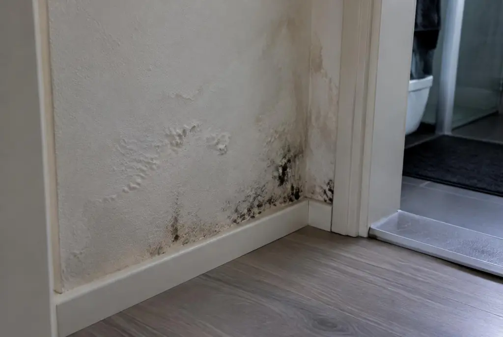 Lekdetectie Montfoort – vochtplek met schimmel op een muur